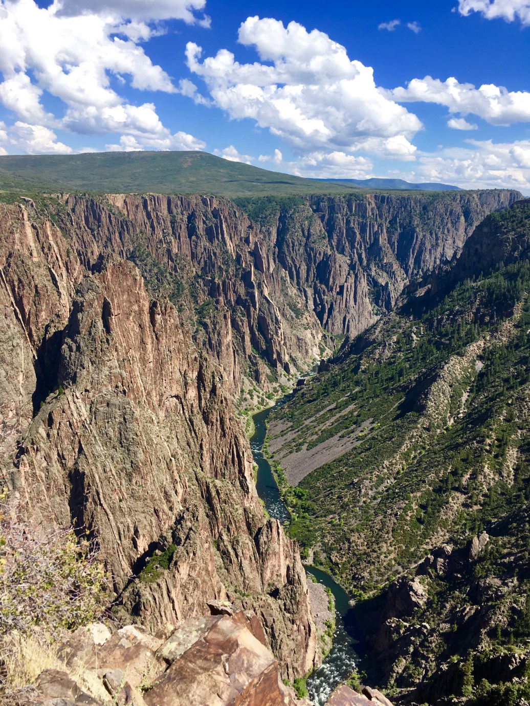 FullSizeRender copy.jpg