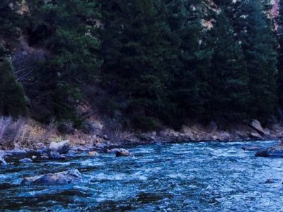 How Can the APTA Help&nbsp;Me?