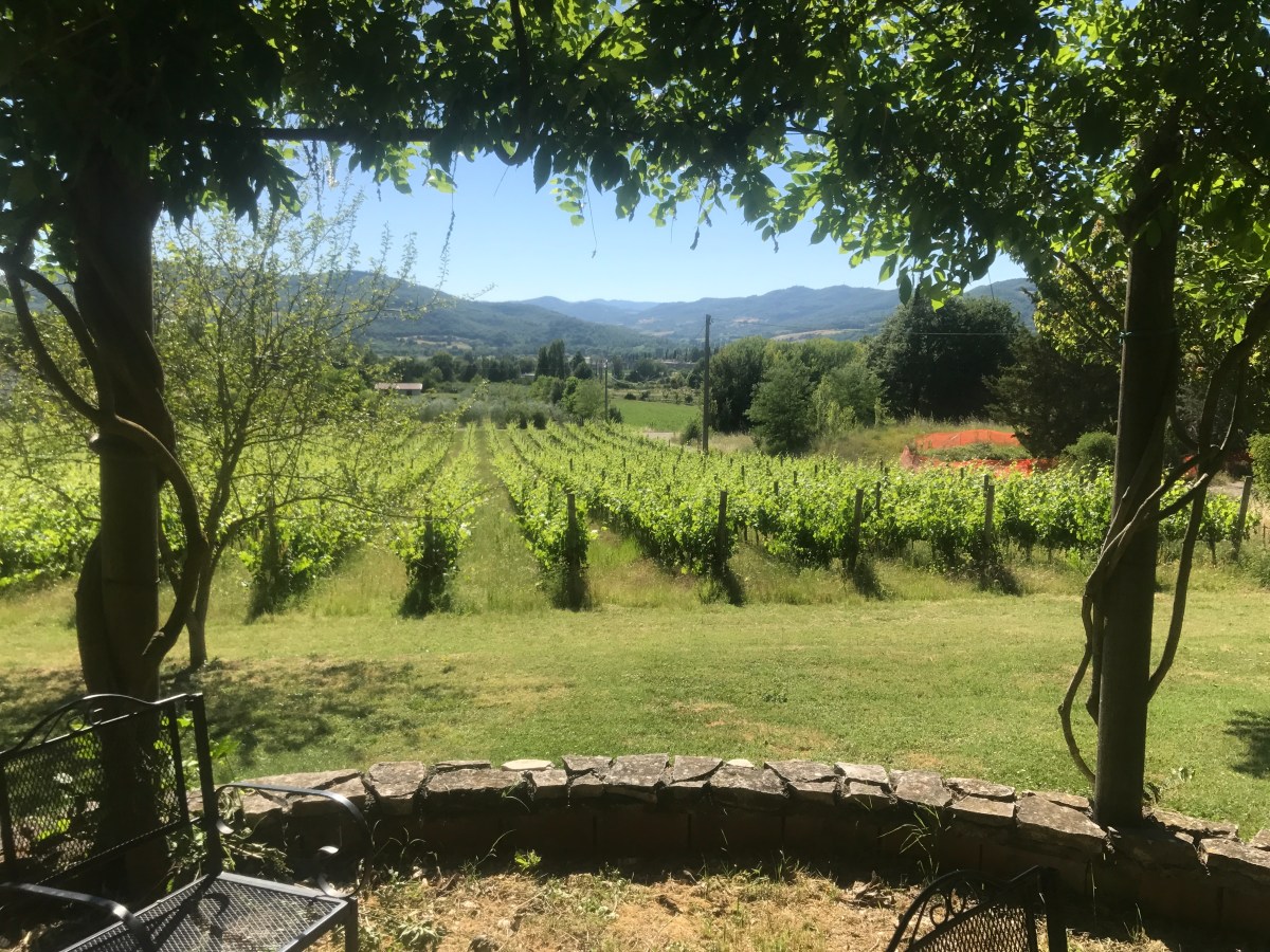 How to Make the Most of Your Clinical…in ITALY!