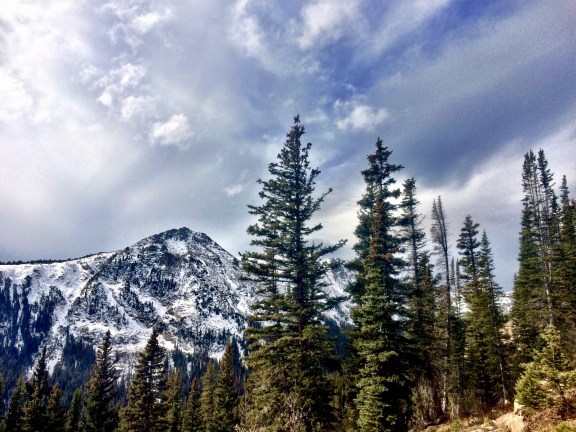 FullSizeRender 2.jpg