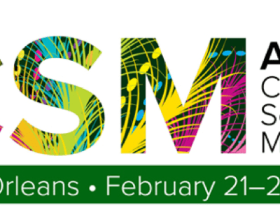 How to Rock a CSM&nbsp;Conference